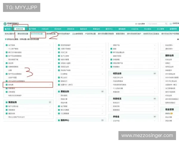 欧博会员登录网银的详细操作流程与常见问题解答